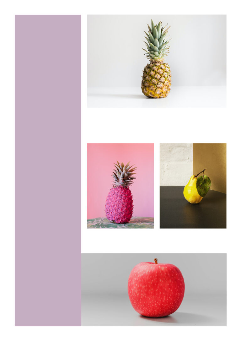 Modele de construction