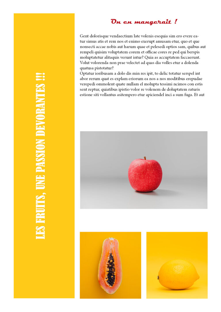 Modele de construction