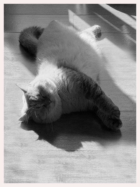 Photo noir eLouvre reflets galerie des filtres effet verret blanc